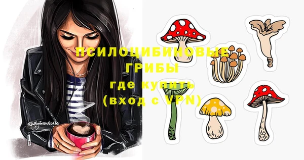 прущие грибы Алексеевка
